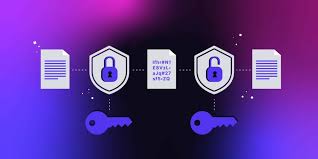 Sogou Privacy Browser is a new choice for secure Internet access that protects your personal privacy